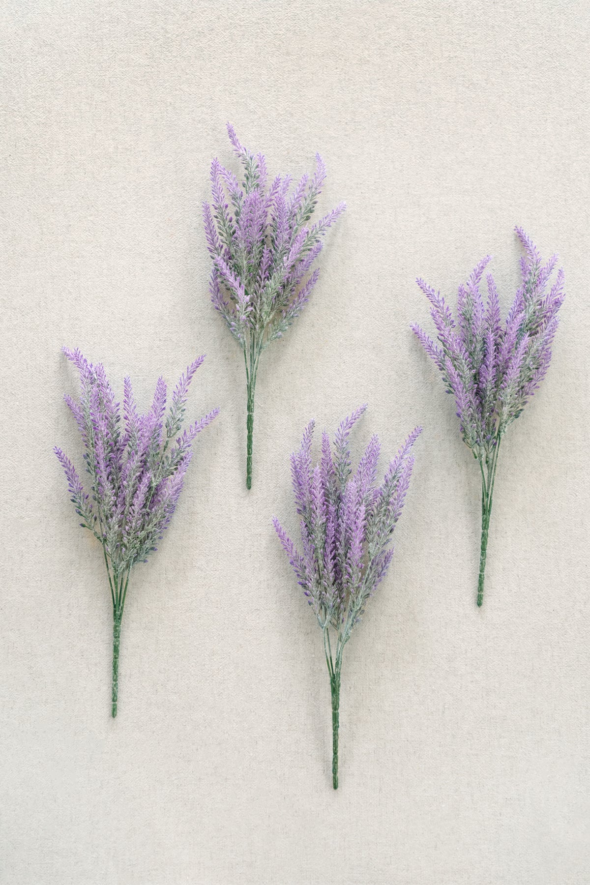 arbusto de lavanda roxo