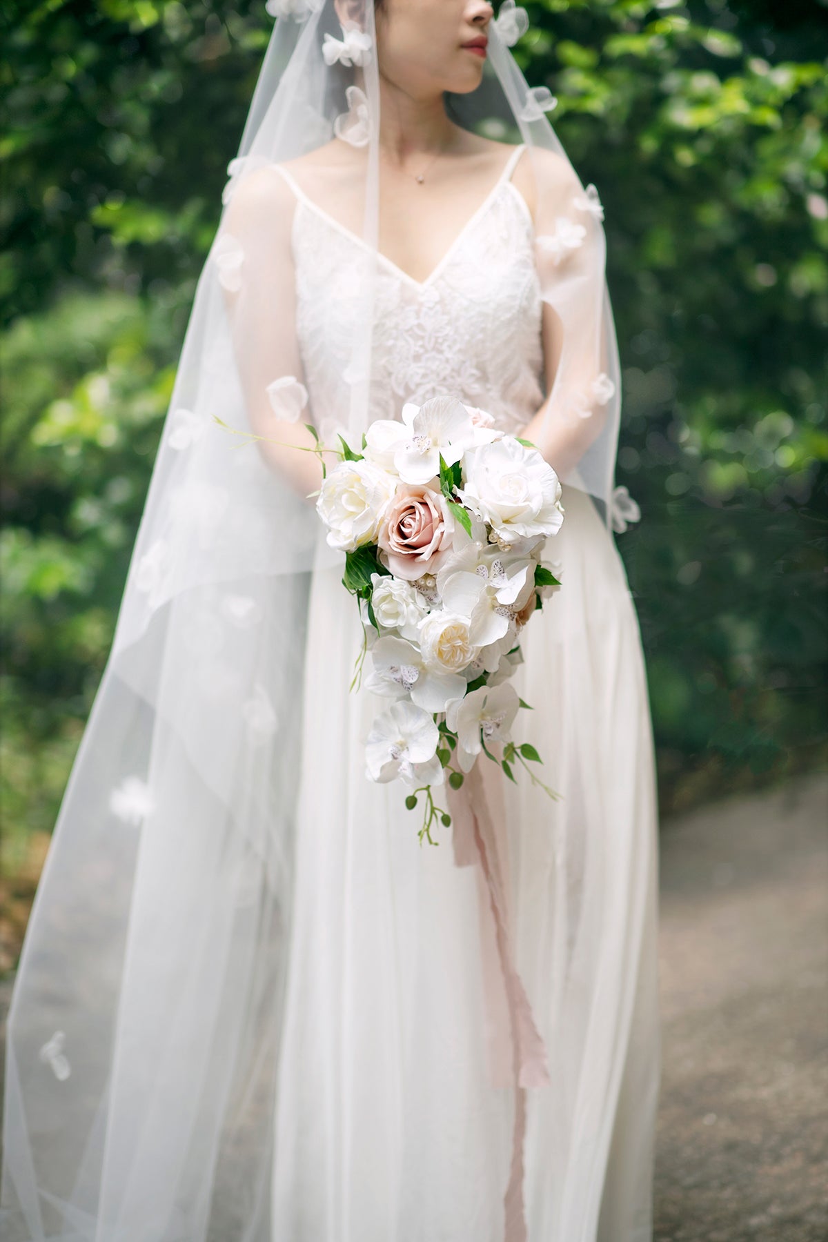 Caixas de flores de grife para orquídeas Phalaenopsis