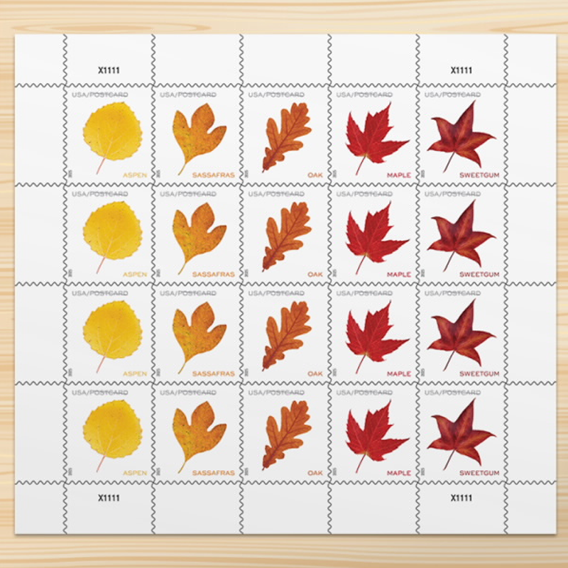 2025 Vibrant Leavea Postcard Forever First Class Postage Stamps