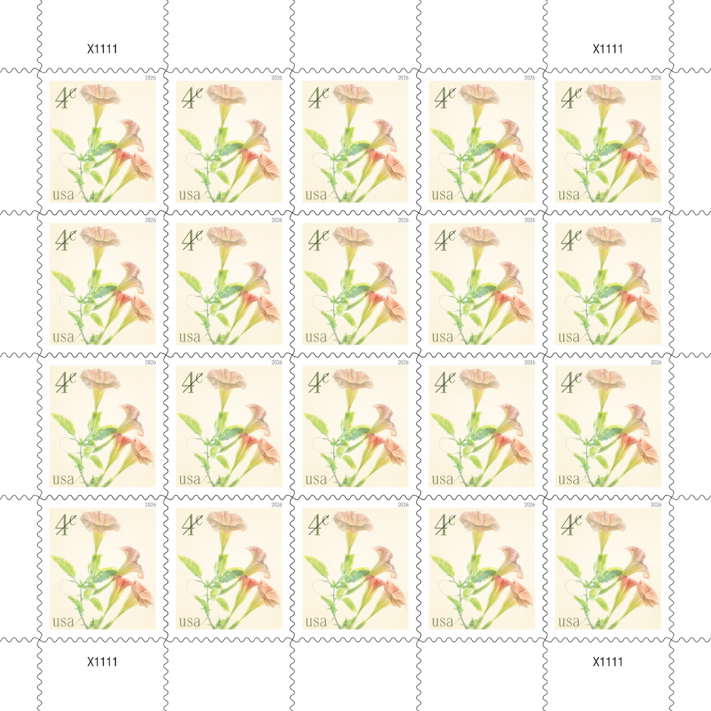 2026 Angel's Trumpets Stamps First Class Postage Stamps (Value Stamp Not Forever)