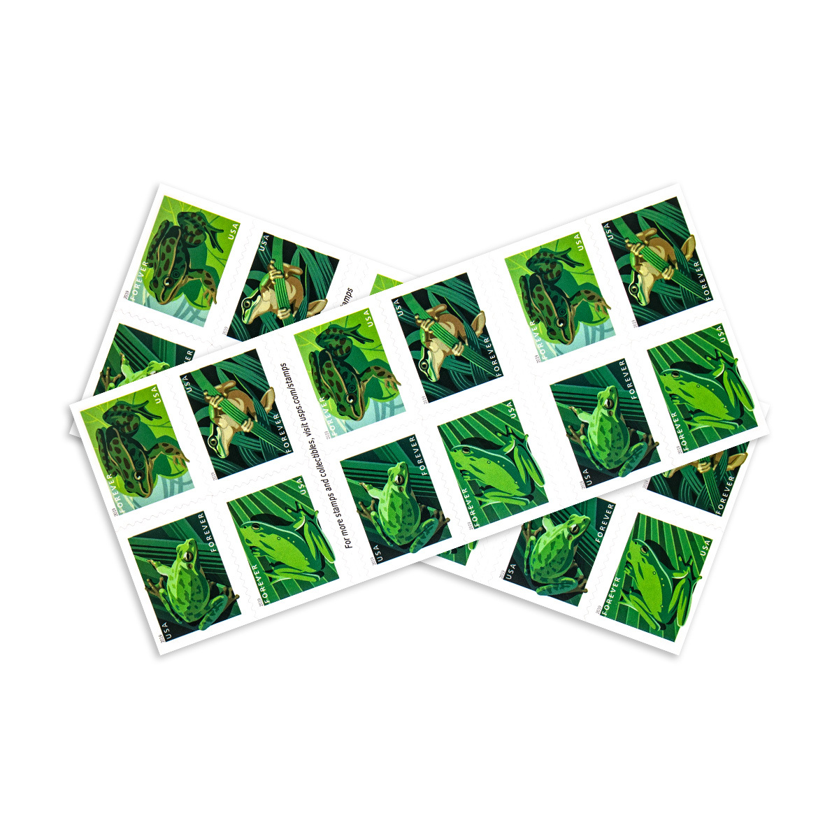 2019 Frogs Forever First Class Postage Stamps