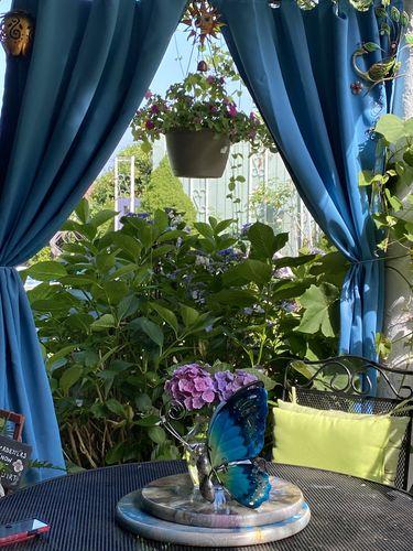 Blue outdoor curtains tied back around a leafy patio seating area
