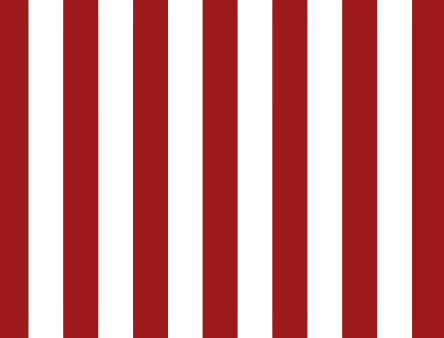SNOWCITY Classic Red Striped Outdoor Curtains Waterproof 1 Panel