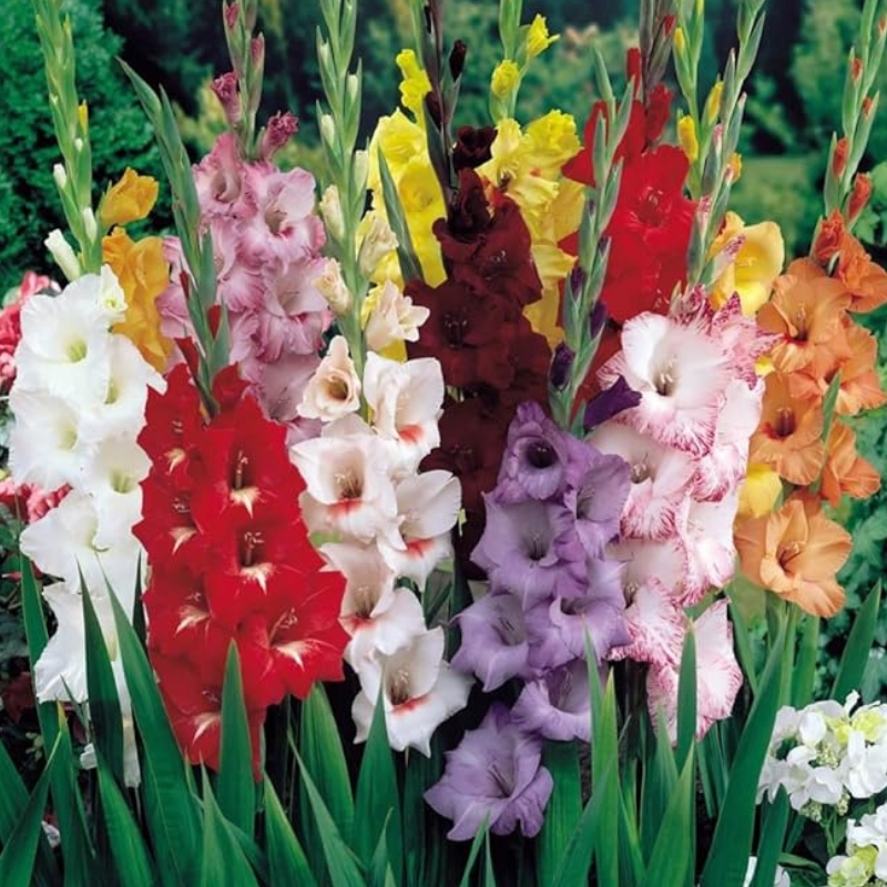 Artificial Gladiolus Flowers for outdoors
