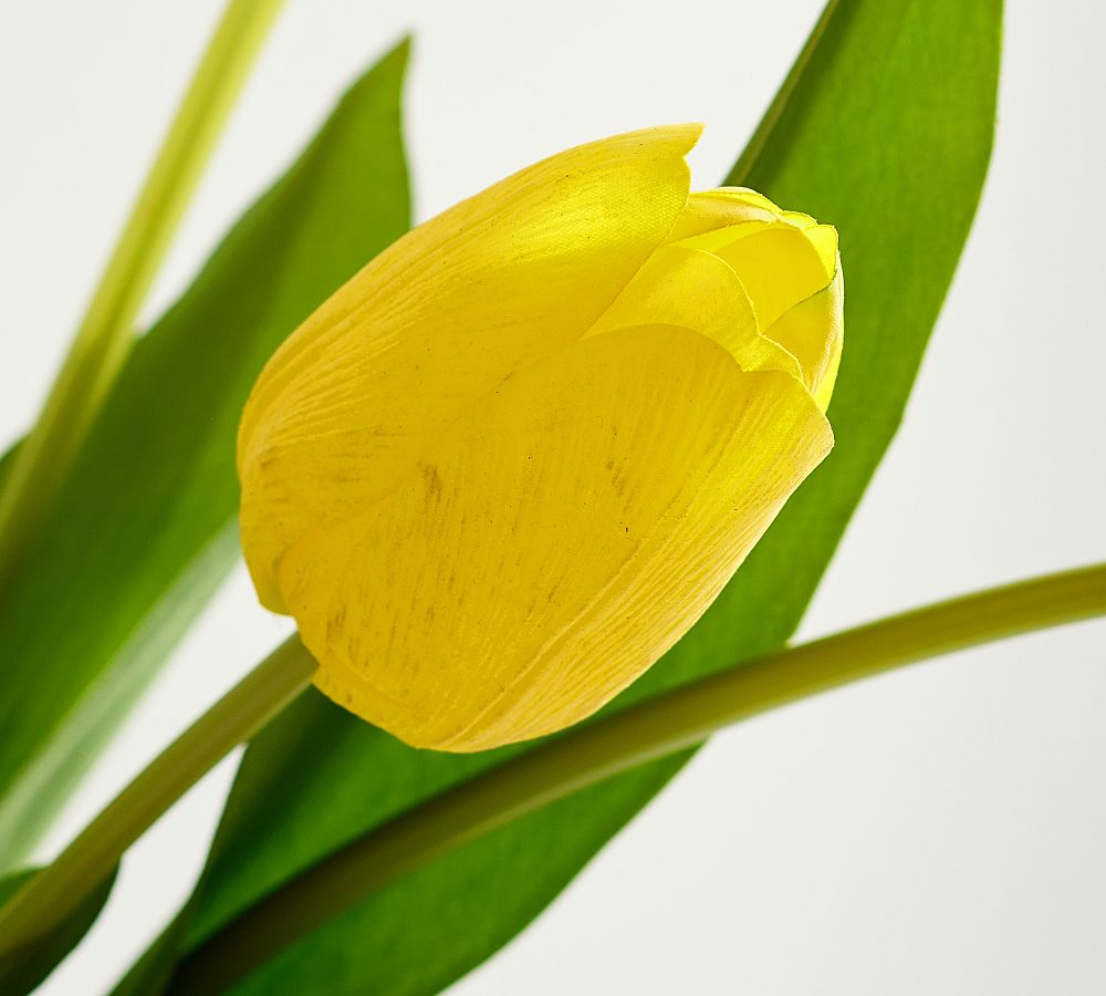 Artificial Tulips  flowers for outdoors