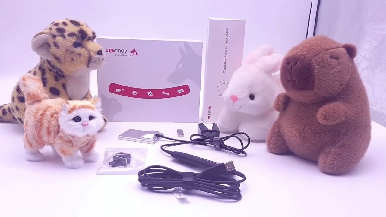 X Ray Sensor Animal Imaging System