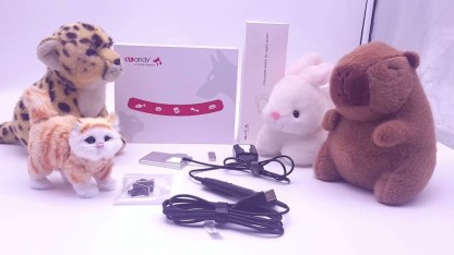 X Ray Sensor Animal Imaging System