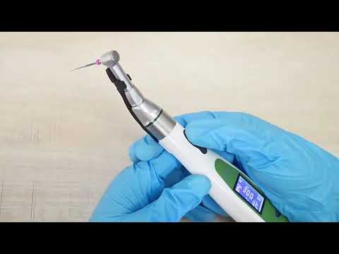 Economic Electric LED Endodontic Cordless Dental Endo Motor