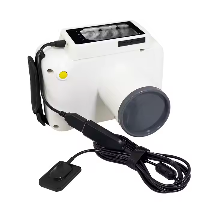 Dental Radiography X Ray With Digital Sensor