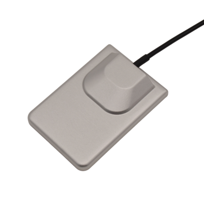 X Ray Sensor Animal Imaging System