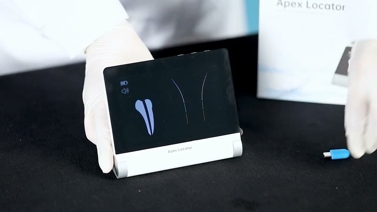 Dental Apex Locator Root Canal Therapy
