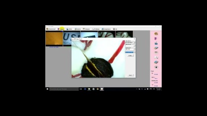 Portable Intraoral Camera USB Endoscrope