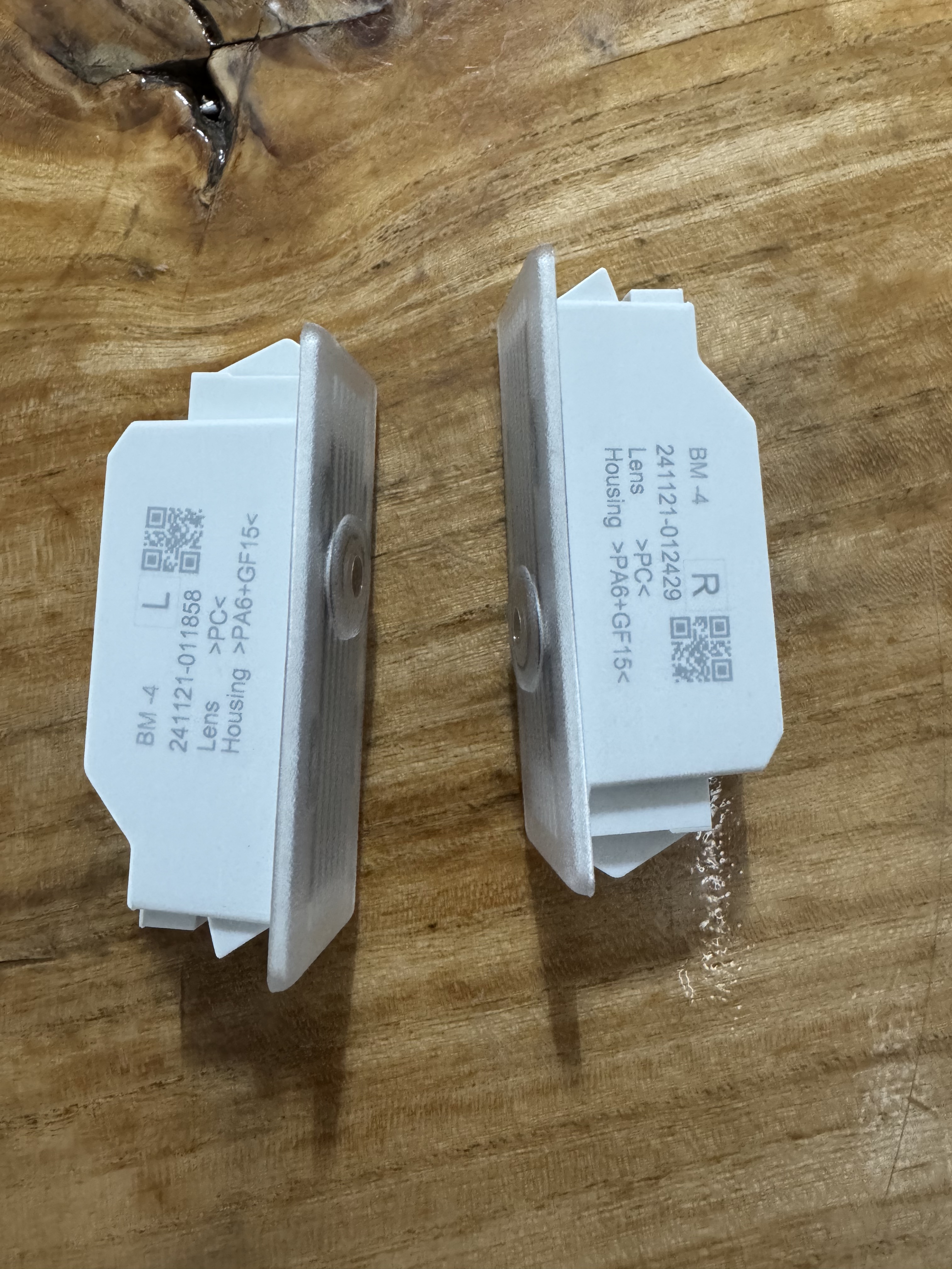 Door projector light