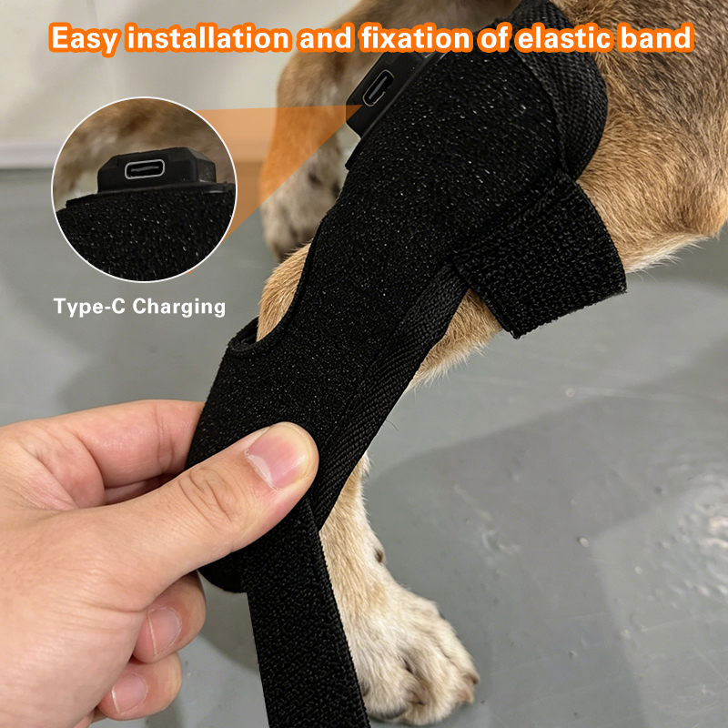 Dog Red Light Therapy Bundle (Knee Wrap) | ClinicPBM