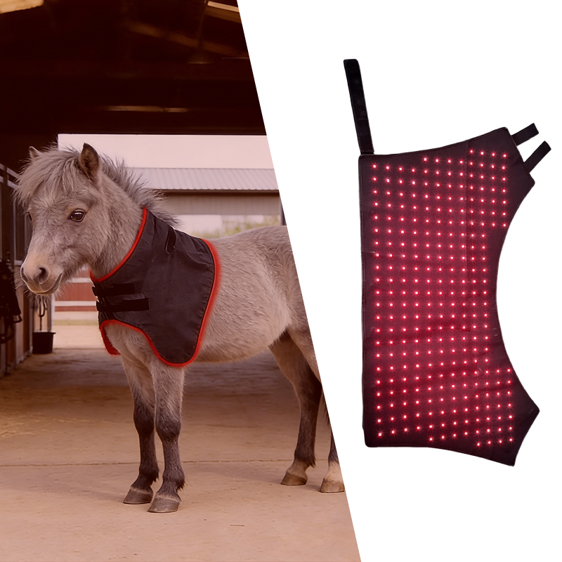 Red Light Therapy Neck Support Wrap for Horses – ClinicPBM