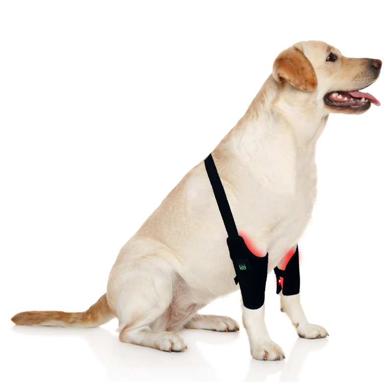 Dog Red Light Therapy Bundle (Leg Wrap ) | ClinicPBM