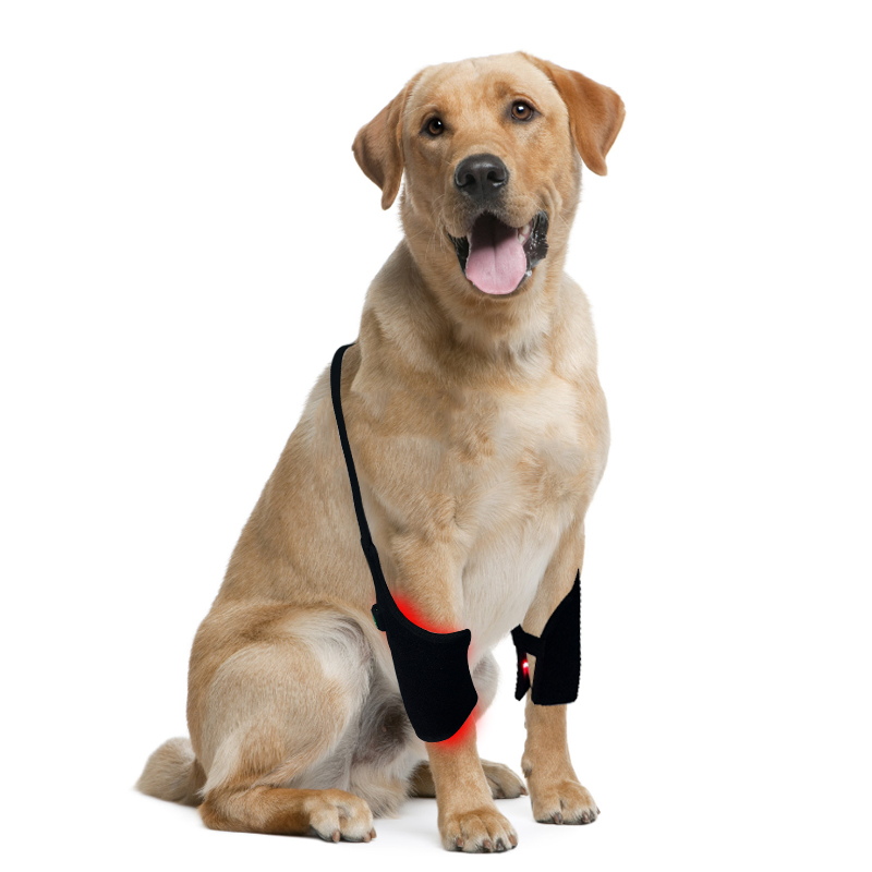 Dog Red Light Therapy Bundle (Leg Wrap ) | ClinicPBM