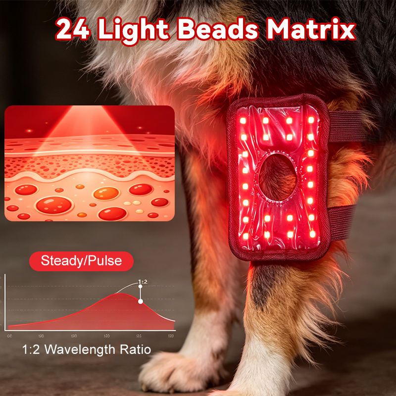 Dog Red Light Therapy Bundle (Knee Wrap) | ClinicPBM