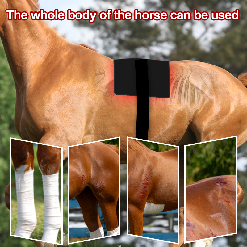 Red Light Therapy Back Pad for Horses Leg and Back – ClinicPBM