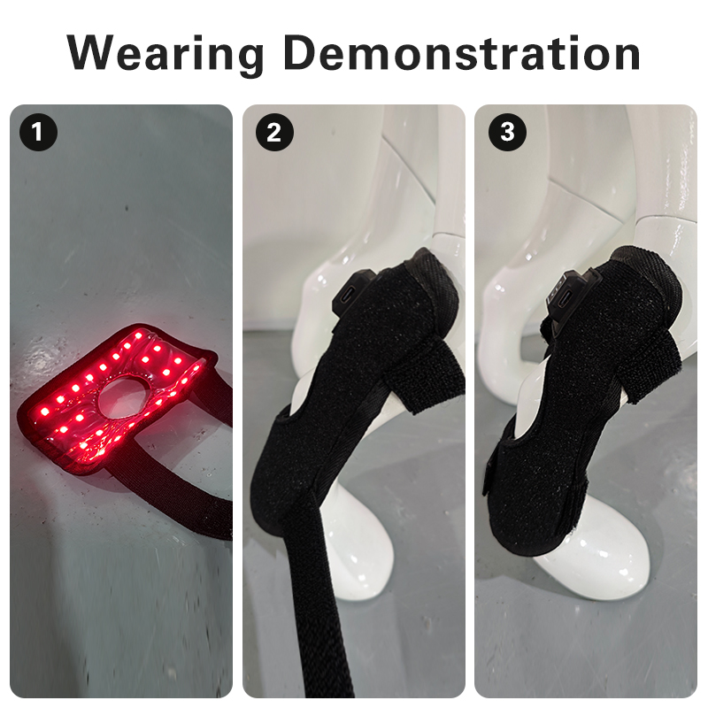 Dog Red Light Therapy Bundle (Knee Wrap) | ClinicPBM