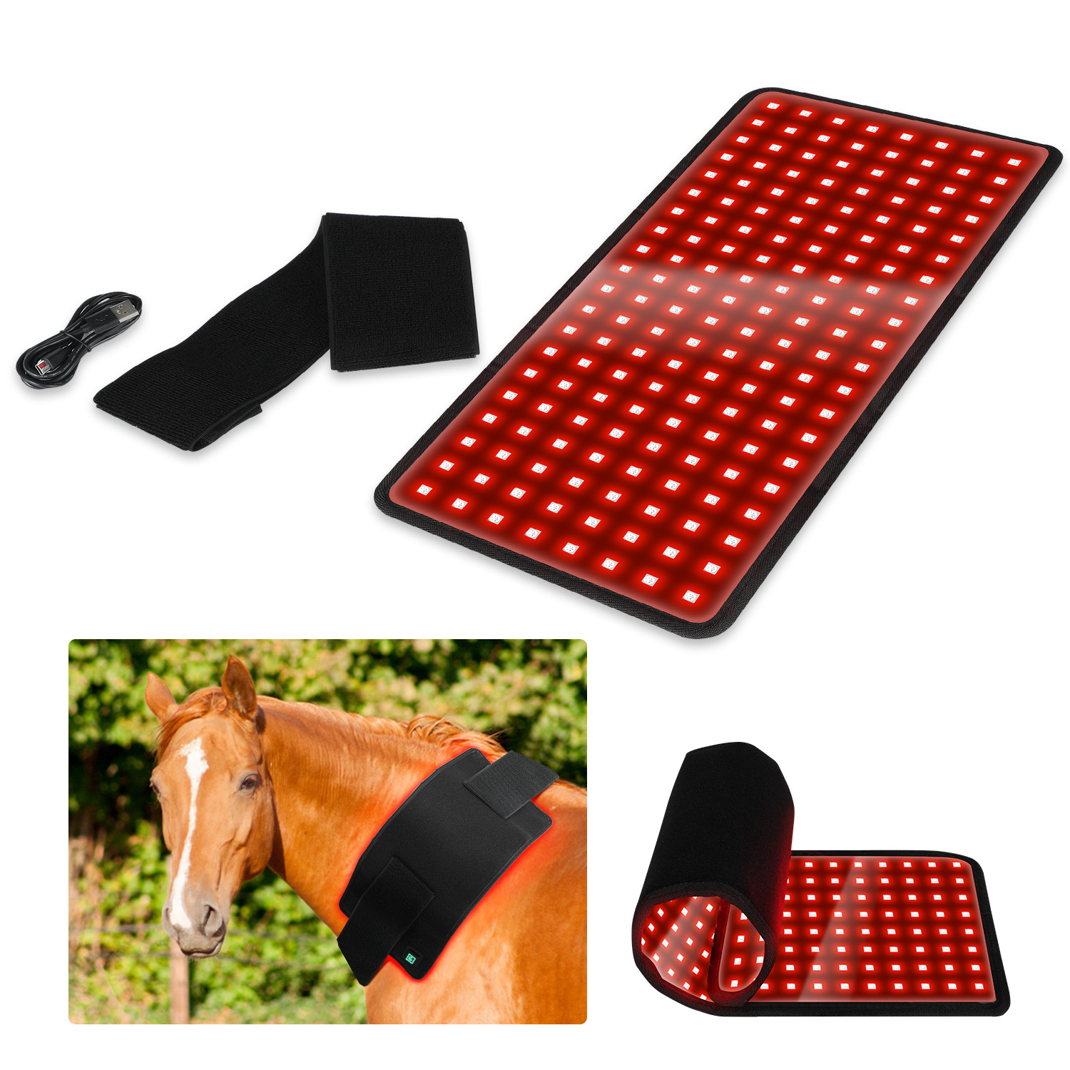Specific Applications of Red Light Therapy in Equine Rehabilitation and Skin Conditions-ClinicPBM