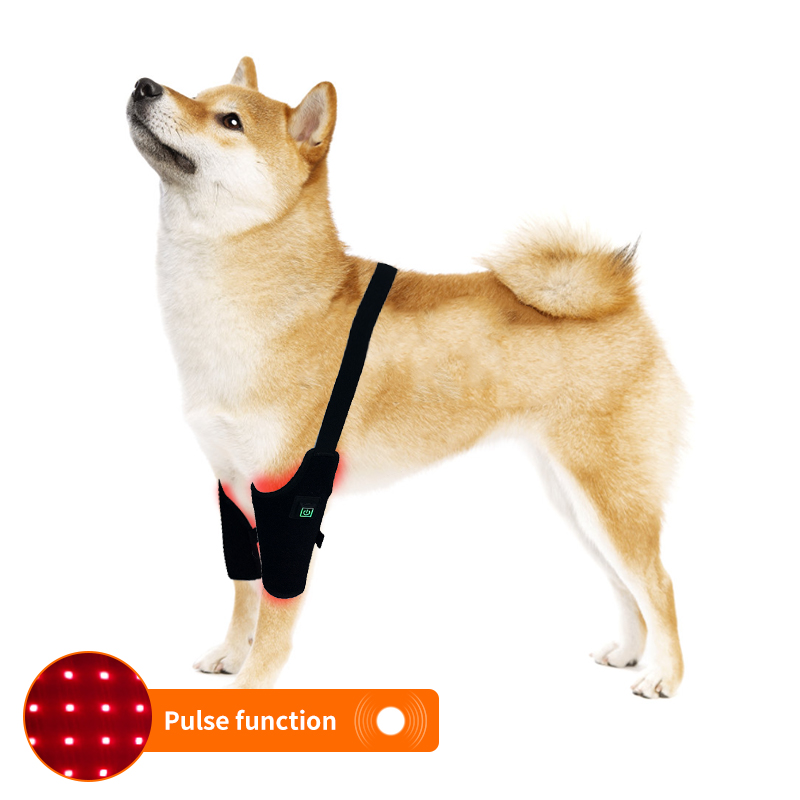 Dog Red Light Therapy Bundle (Leg Wrap ) | ClinicPBM