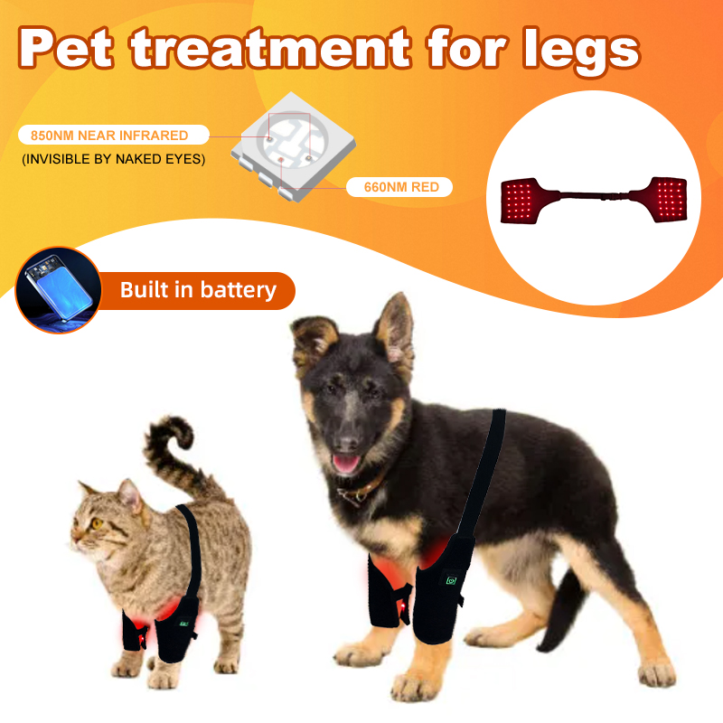 Dog Red Light Therapy Bundle (Leg Wrap ) | ClinicPBM