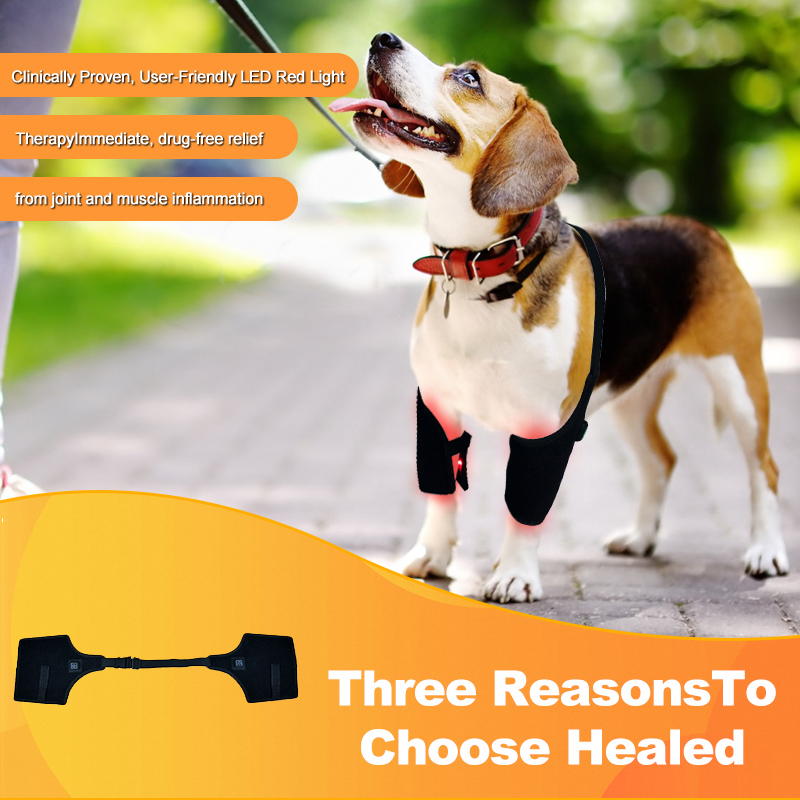 Dog Red Light Therapy Bundle (Leg Wrap ) | ClinicPBM