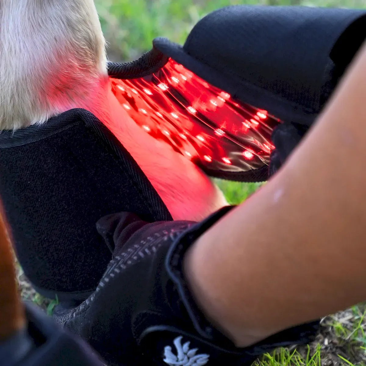 ClinicPBM red and near-infrared LED light array technology for deep tissue support