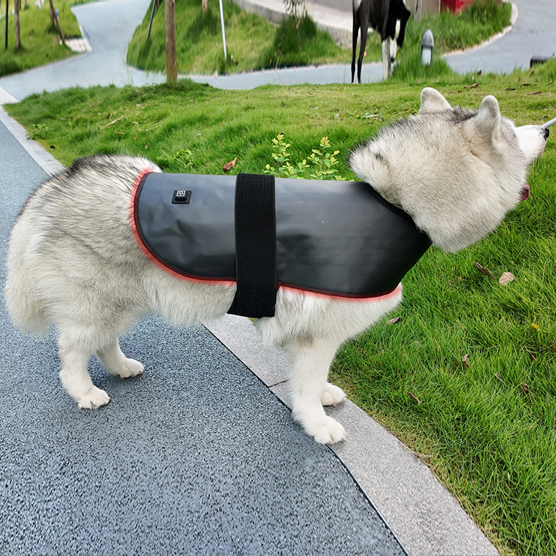 ClinicPBM Dog Cat Red Light Therapy Coat (Built-in Battery)