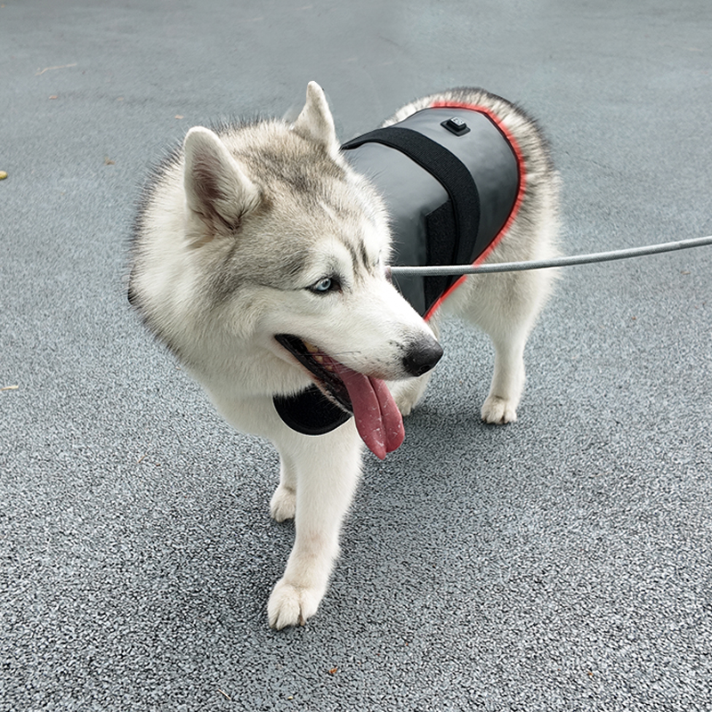 ClinicPBM Dog Cat Red Light Therapy Coat (Built-in Battery)