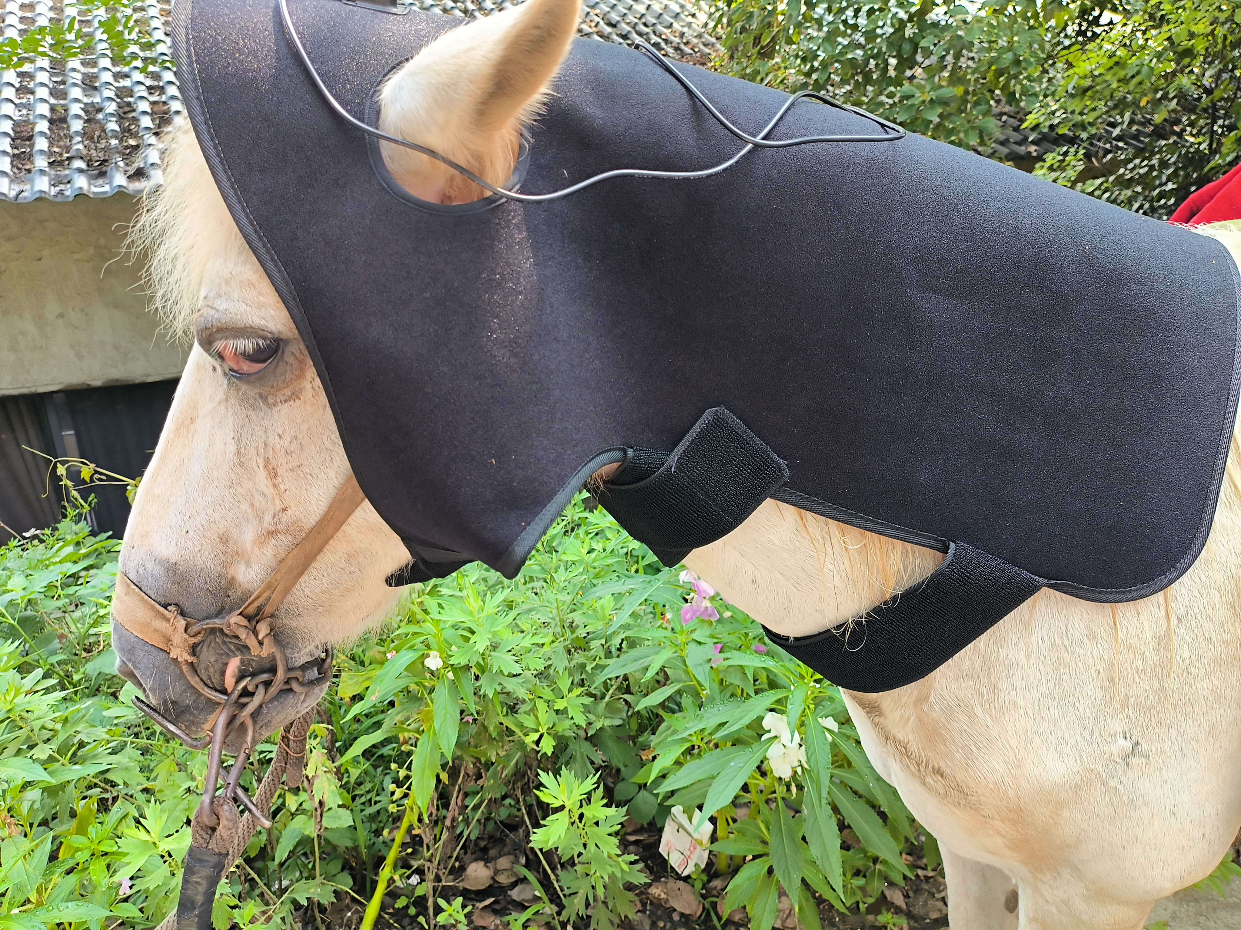 EQUINE RED LIGHT THERAPY POLL CAP - POWER BANK INCLUDED （SIZE for PONY）