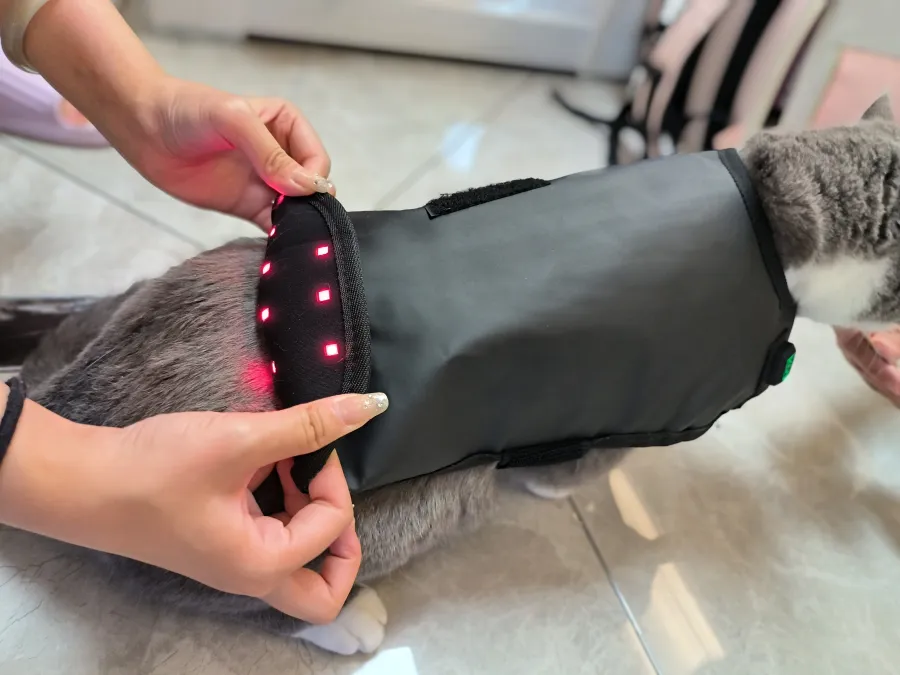Dog Red Light Therapy Bundle (Full Body Mat + Leg Wrap) | ClinicPBM