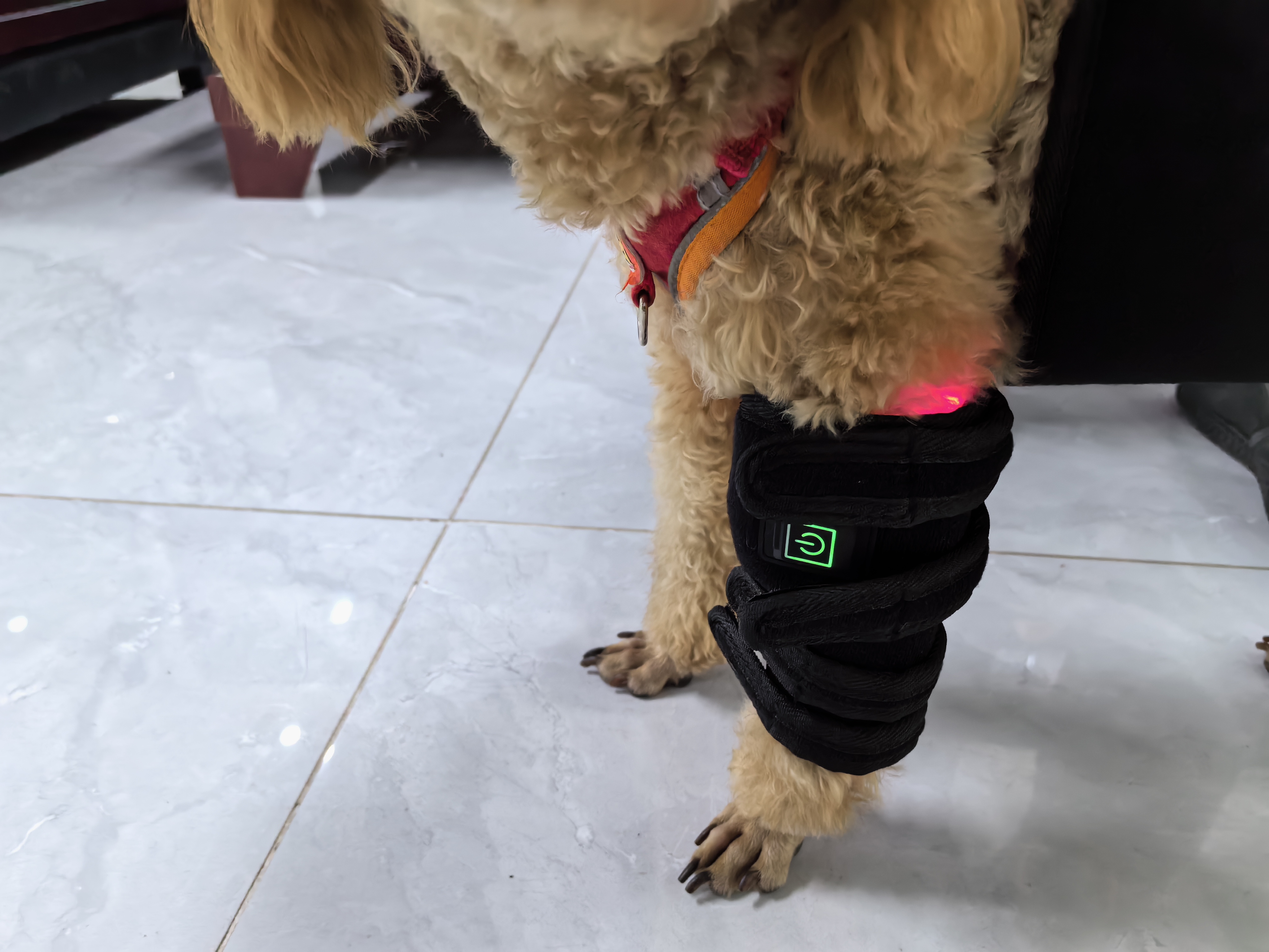 DOG LEG RED LIGHT THERAPY MAT (BATTERY POWERED )