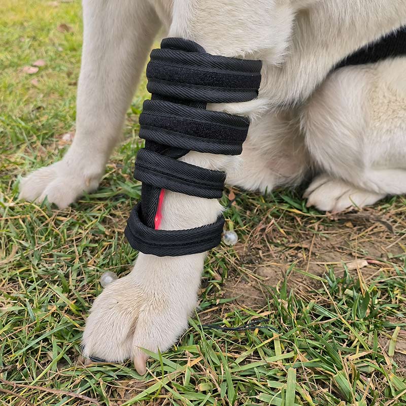 Red Light Therapy Pet Leg Wrap – ClinicPBM