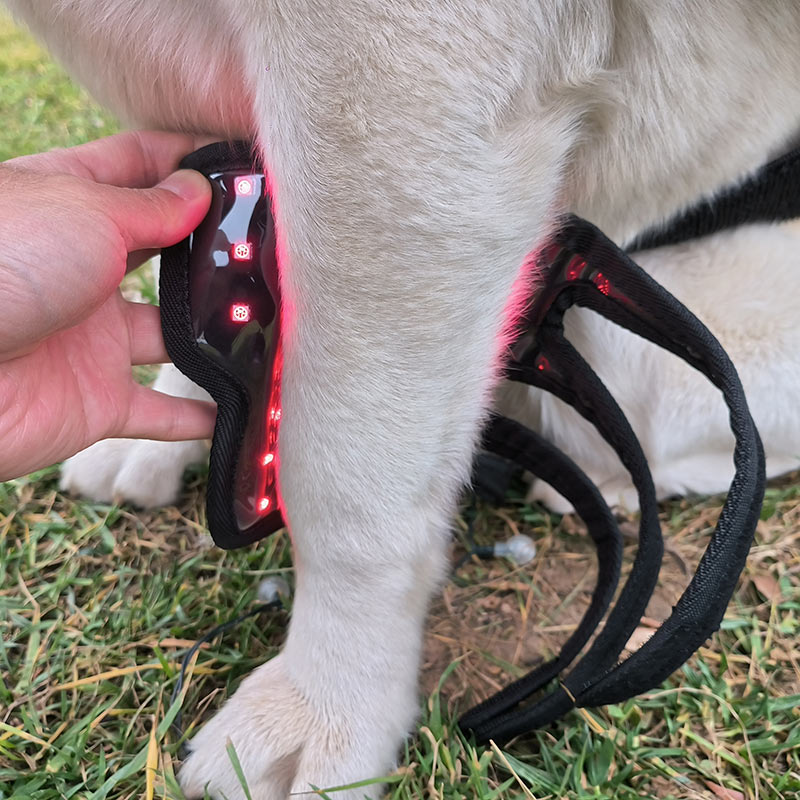 Red Light Therapy Pet Leg Wrap – ClinicPBM