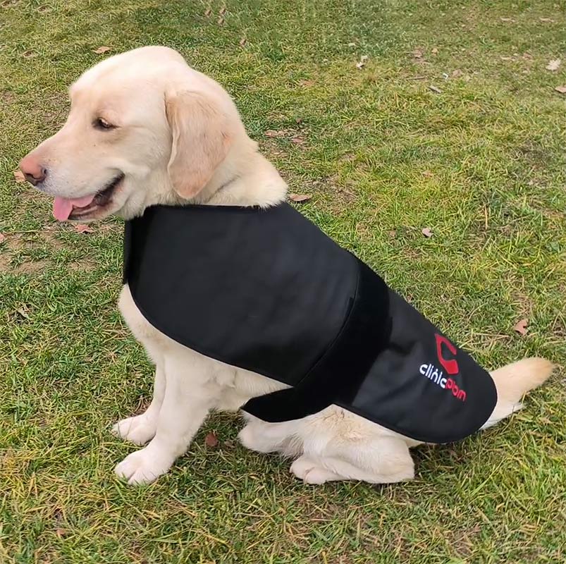 Red Light Therapy Pet Coat – ClinicPBM