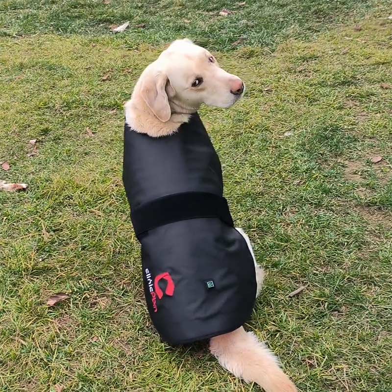 Red Light Therapy Pet Coat – ClinicPBM