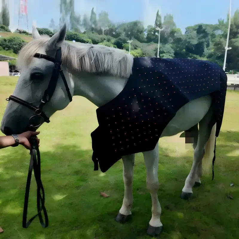 Advanced Full-Body Equine Red Light Therapy Blanket – ClinicPBM
