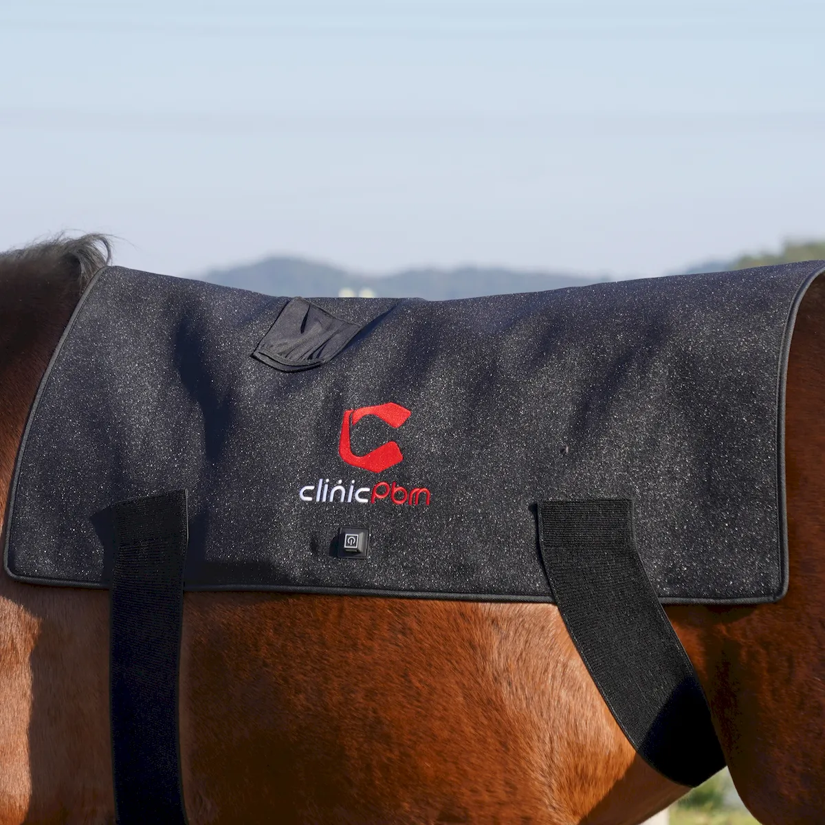 Red Light Therapy Back Pad for Horses – ClinicPBM-ClinicPBM