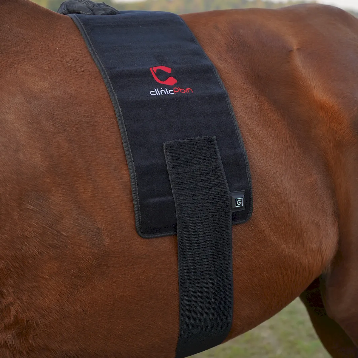 ClinicPBM Red Infrared Light Therapy Wrap for Horses - Size: L