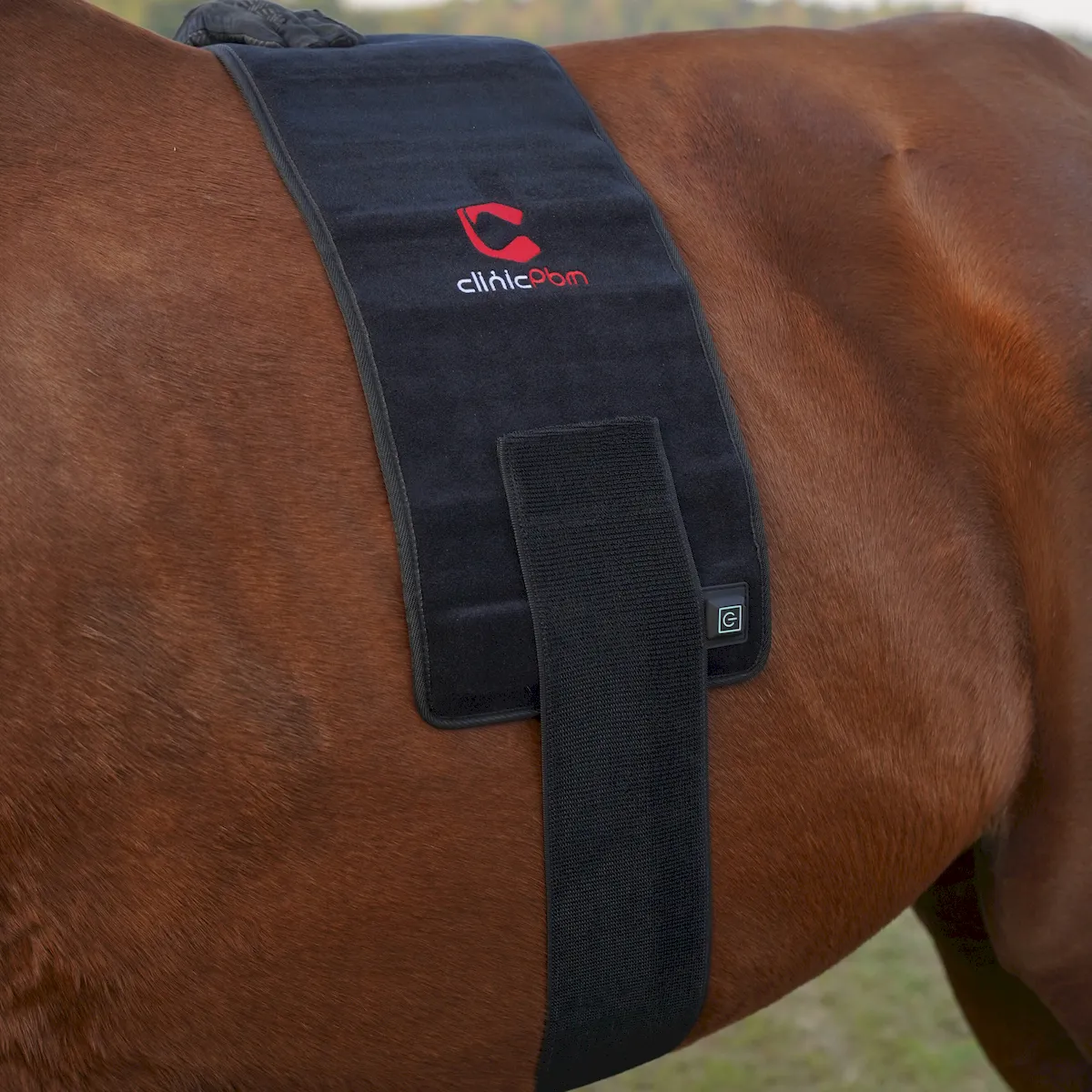 ClinicPBM Red Light Therapy Leg / Back/ Neck Wrap for Horses- Size M