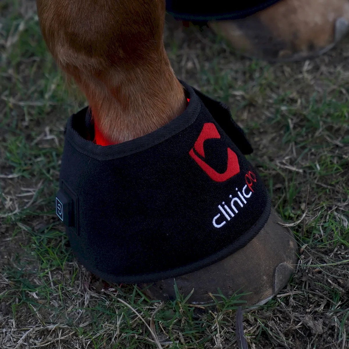 Red Light Therapy Hoof Boots for Horses – ClinicPBM-ClinicPBM