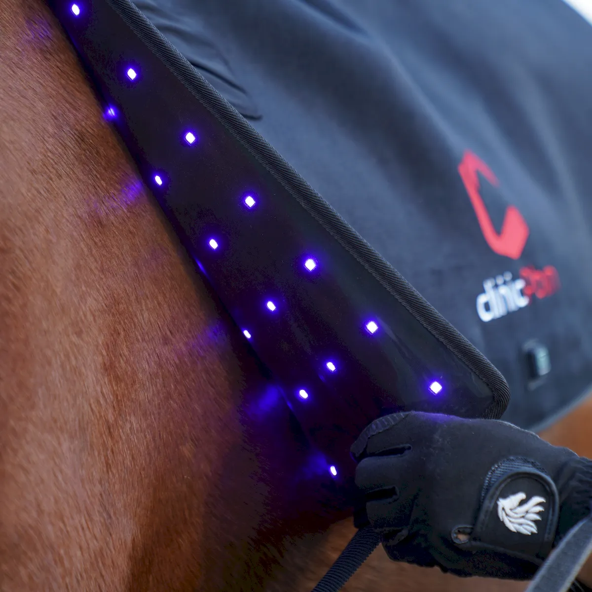 Red Light Therapy Back Pad for Horses – ClinicPBM-ClinicPBM
