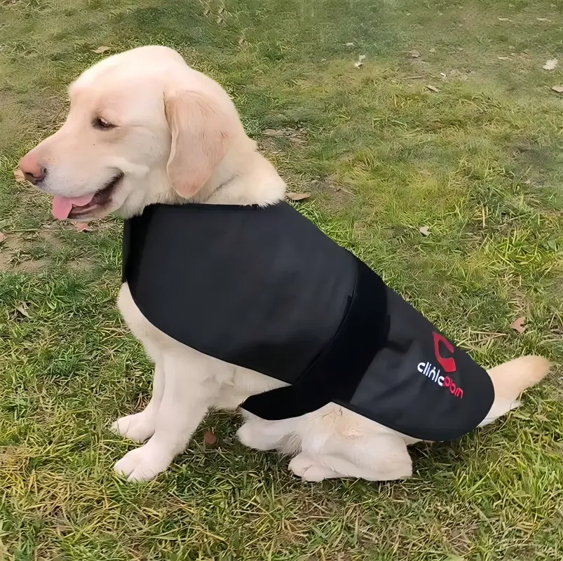 For Dogs & Cats