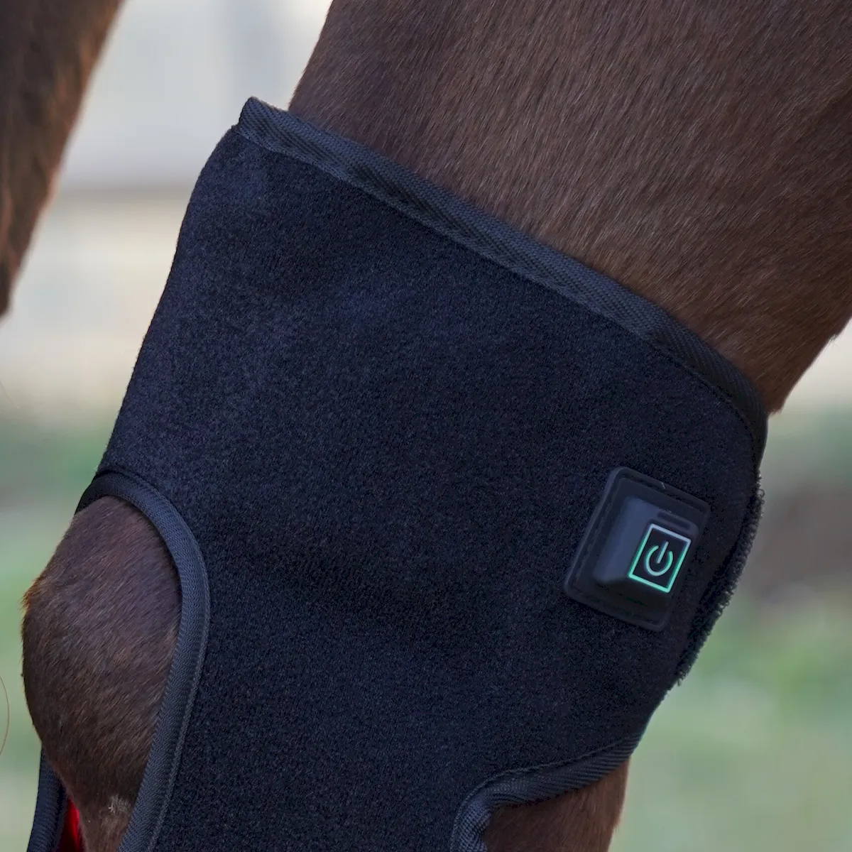 Red Light Therapy Hock Wraps for Horses – ClinicPBM-ClinicPBM