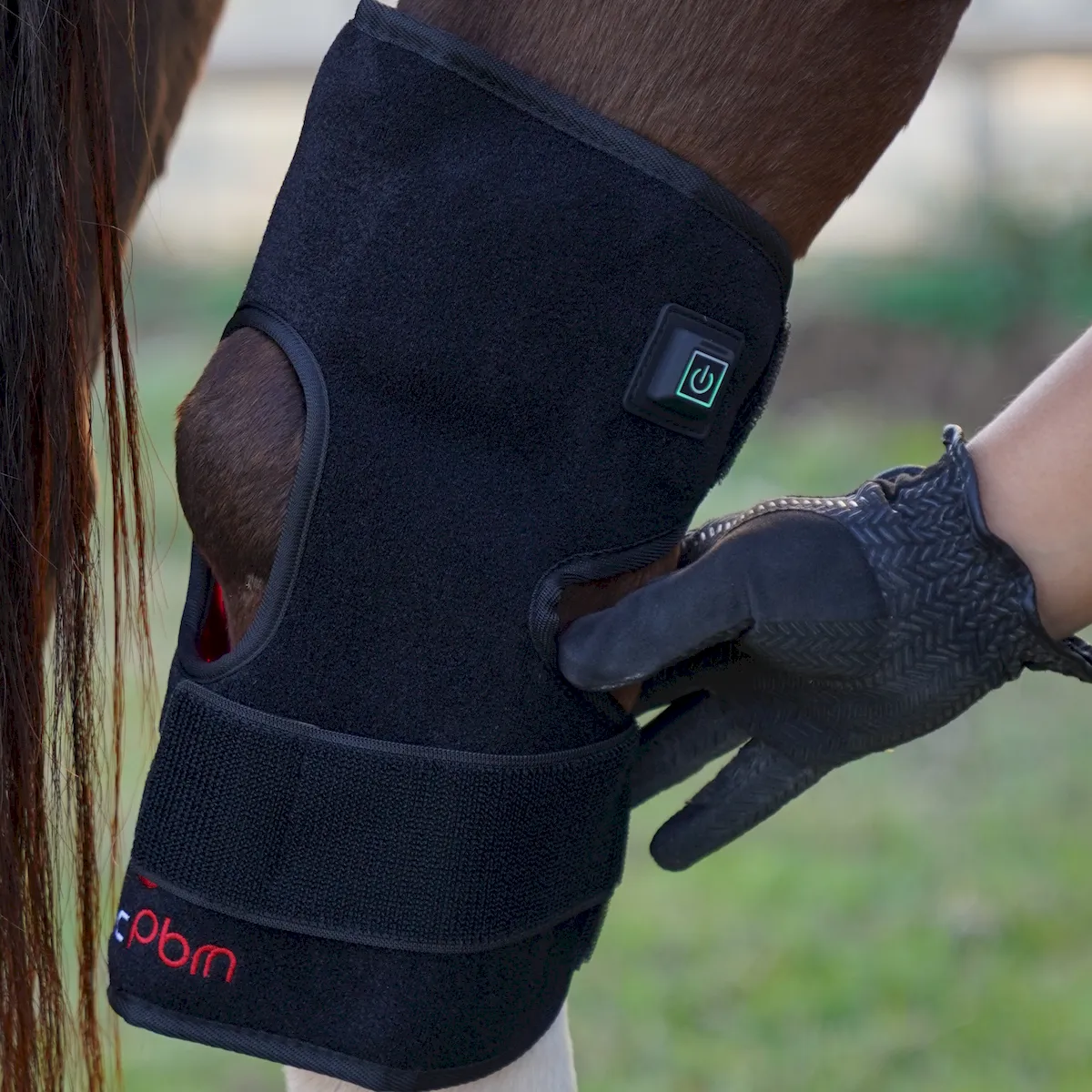 Red Light Therapy Hock Wraps for Horses – ClinicPBM-ClinicPBM