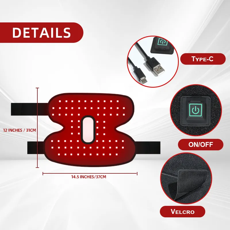 Red Light Therapy Hock Wraps for Horses – ClinicPBM-ClinicPBM