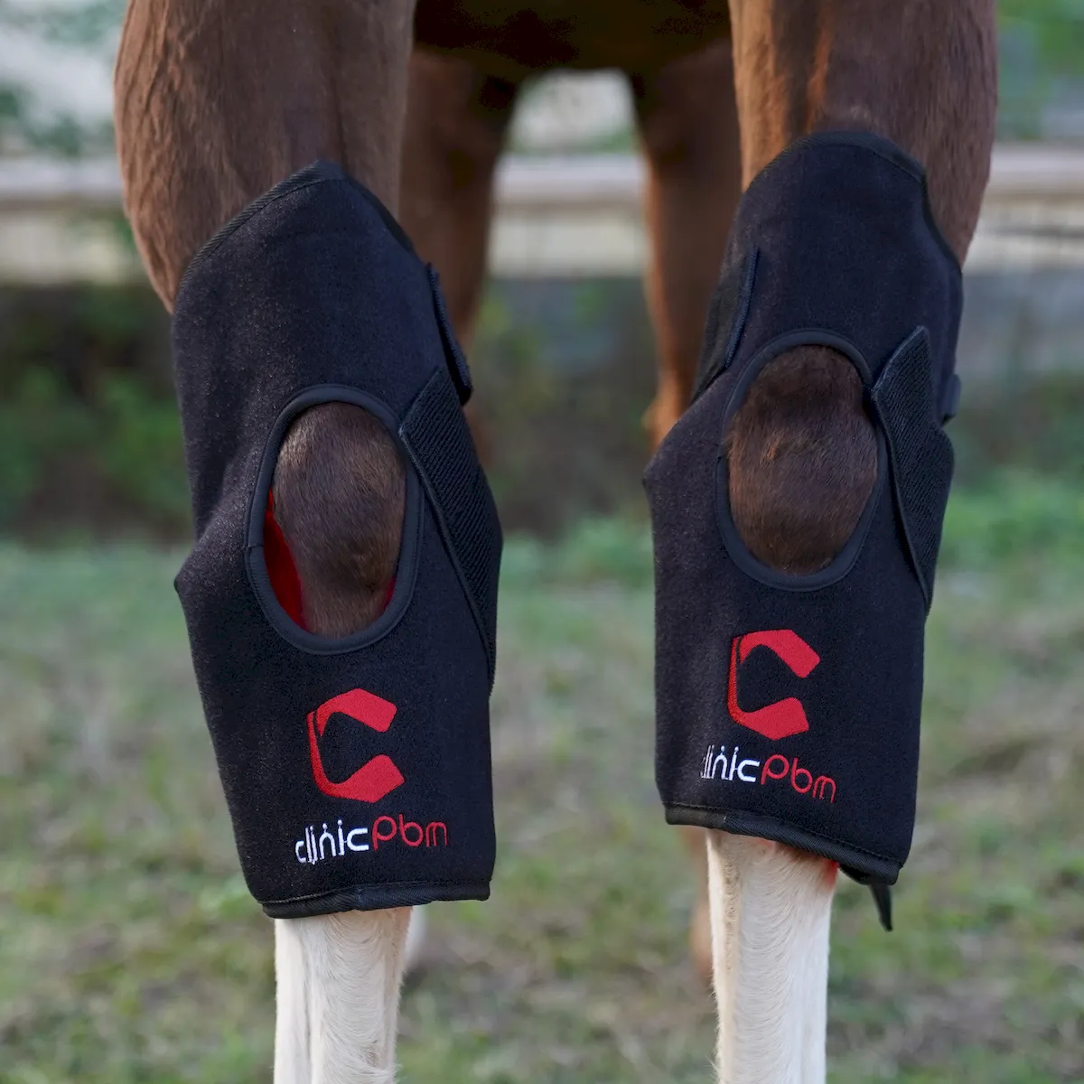 Red Light Therapy Hock Wraps for Horses – ClinicPBM-ClinicPBM
