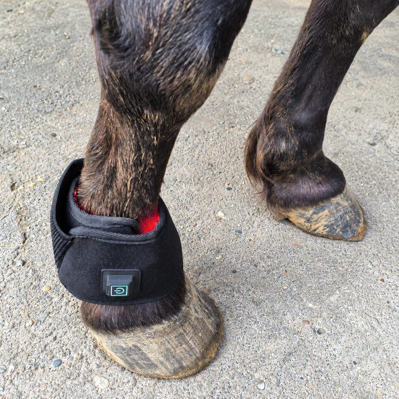 Close-up of a ClinicPBM red light therapy hoof boot fitted around a horse's hoof and pastern, showing the one-touch power button and a red glow at the top edge, outdoors